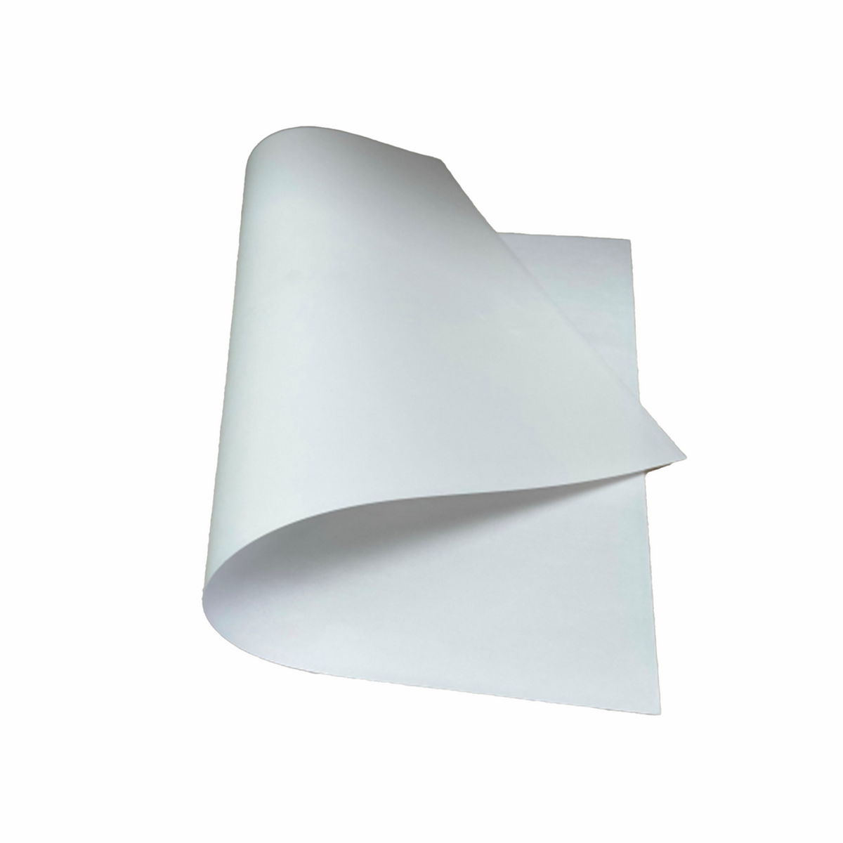 iColor T. Seal Finishing Sheet A3 Size